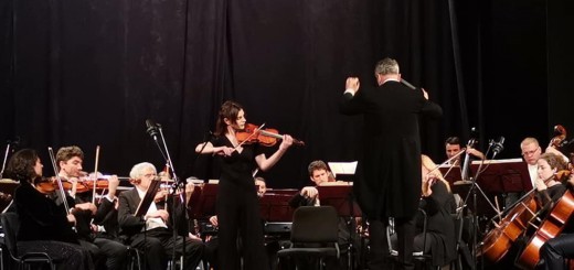 dso-ucenici-3